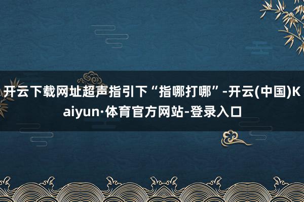 开云下载网址超声指引下“指哪打哪”-开云(中国)Kaiyun·体育官方网站-登录入口
