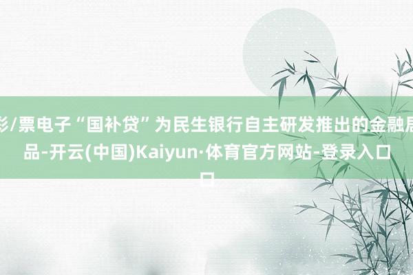 彩/票电子“国补贷”为民生银行自主研发推出的金融居品-开云(中国)Kaiyun·体育官方网站-登录入口