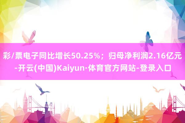彩/票电子同比增长50.25%；归母净利润2.16亿元-开云(中国)Kaiyun·体育官方网站-登录入口