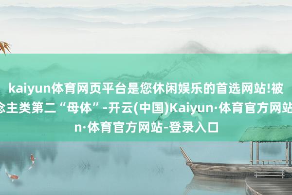 kaiyun体育网页平台是您休闲娱乐的首选网站!被誉为东说念主类第二“母体”-开云(中国)Kaiyun·体育官方网站-登录入口