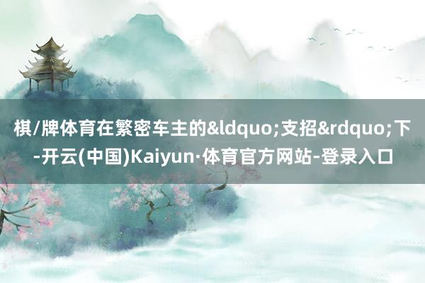 棋/牌体育在繁密车主的&ldquo;支招&rdquo;下-开云(中国)Kaiyun·体育官方网站-登录入口